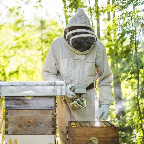 Vista 6 de Blisstime Bee Hive - Ahumador de abeja de acero inoxidable con escudo térmico, suministros y equipos de apicultura