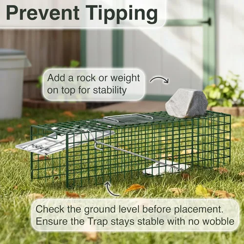 Vista 8 de HOMESTEAD Trampa viva resistente – Trampas para animales vivos de una puerta de estilo profesional para conejo, ardilla, zarigüeya, zorrillo