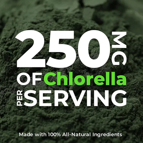 Vista 2 de Tabletas orgánicas de Chlorella 1000 unidades Suplemento de clorofila de alta potencia Chlorella Pyrenoidosa pura Pared celular rota para una