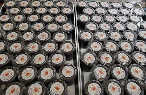 Vista 3 de LIVE and ACTIVE Florida Sun Kefir Water Kefir Grains TIBICOS DIY Probióticos