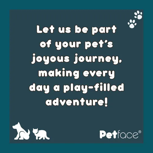 Vista 6 de Petface Juguete para perros Farmyard Buddies Dumpy Donkey