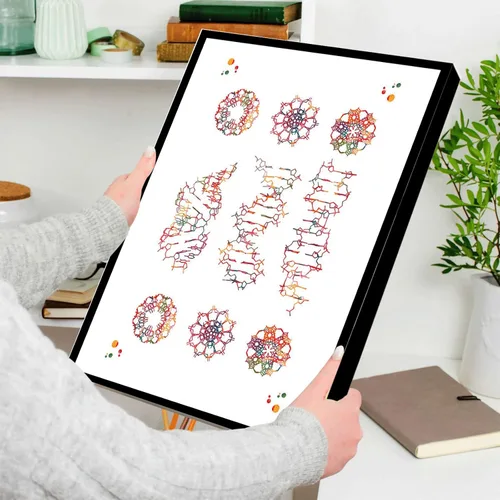 Vista 2 de Decoración de pared de oficina médica ADN, ciencia arte genética, impresión de conformación de ADN, acuarela forma B y forma Z de ADN mujeres