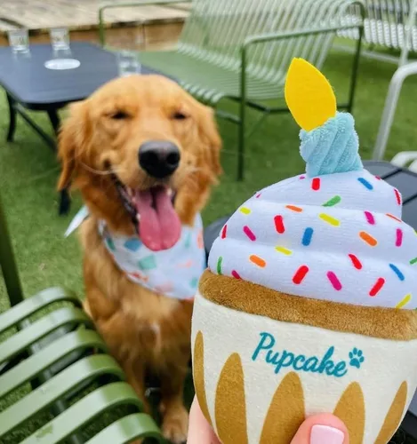 Vista 2 de Juguete de cumpleaños para perros Regalo de peluche chirriante y arrugado para cachorros