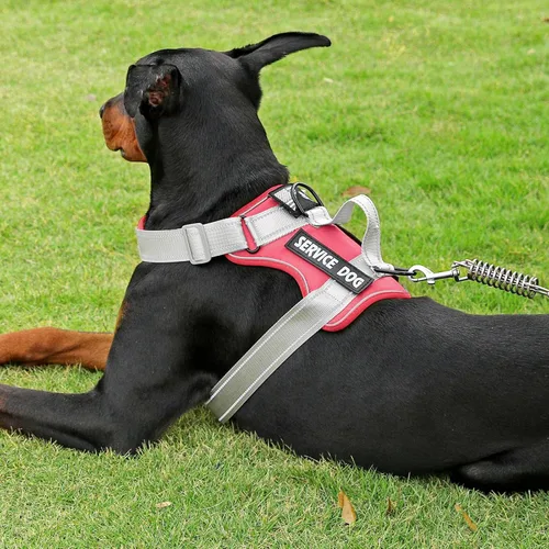 Vista 147 de Demigreat Arnés de perro de servicio, arnés reflectante para perro con 5 parches, arnés Oxford suave ajustable para mascotas, malla de capa