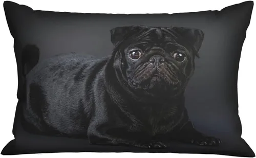 Vista 25 de Funda de almohada para cabello y piel, tamaño Queen (20 x 30 pulgadas), funda de almohada para decoración del hogar, microfibra cepillada suave
