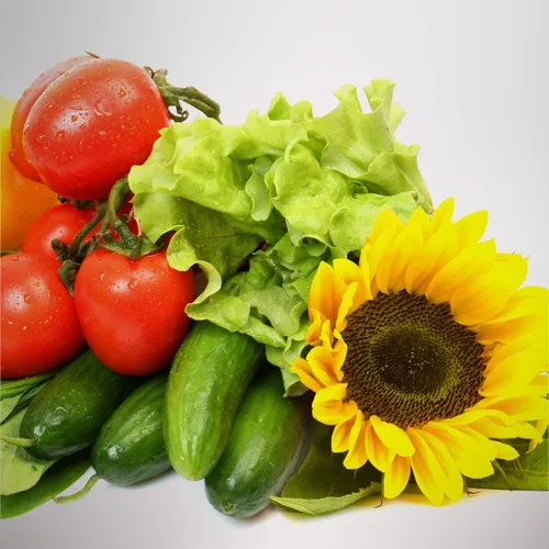 Vista 3 de AeroGarden 800357-0208 Kit de semillas, 3 Pod