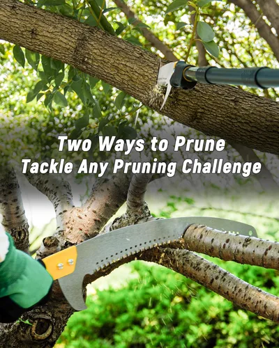 Vista 7 de Sierra de Poste de 8.5 Pies con Longitud Ajustable para Poda de Árboles, Sierra de Poda Manual Ligera con Hoja de Acero Mn, Cortador de Ramas