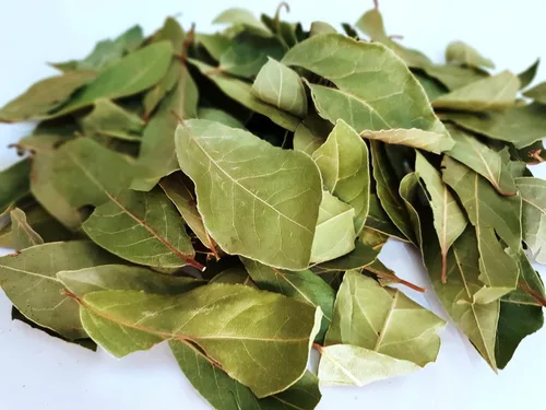 Vista 2 de Hojas de laurel, 2 libras, hoja de laurel seca entera, las hojas de laurel son dulces con una nota de limón que ofrece un sabor cálido y sutil