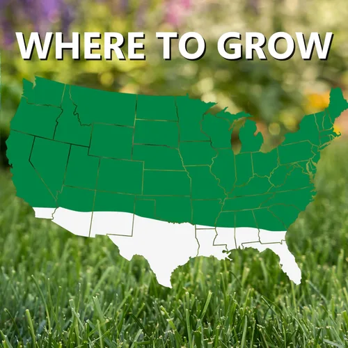 Vista 4 de Jonathan Green (11460) Semilla de césped de contratista - Semilla de césped de temporada fría (50 libras)