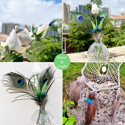 Vista 6 de 100 plumas de pavo real azul de 1.5 a 3 pulgadas pequeñas plumas naturales para atrapasueños artesanales Pluma de pavo real azul