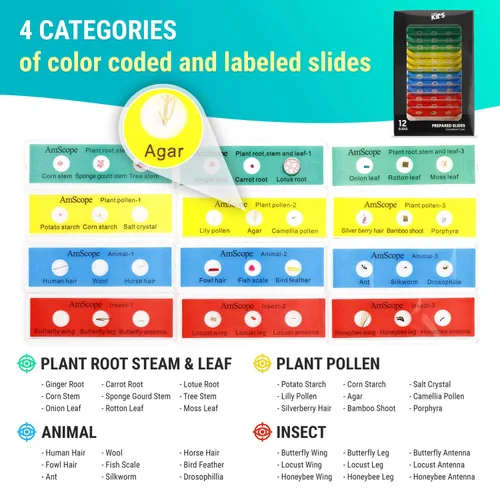 Vista 4 de AmScope PS-P12X3-A Set de 36 portaobjetos con muestras de insectos y extractos naturales para niños, codificados por
