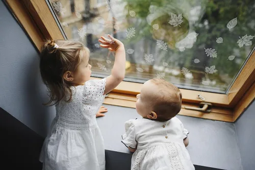 Vista 3 de WindowAlert - Calcomanías anticolisión para pájaros – Calcomanía transparente para ventana para proteger a las aves silvestres de colisiones contra