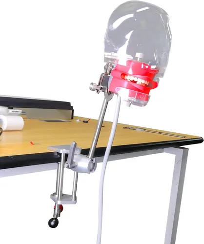 Vista 2 de Modelo de cabeza simple de EE. UU. Simulador dental Manikin Phantom con dientes Modelo de cabeza fantasma dental con soporte de banco