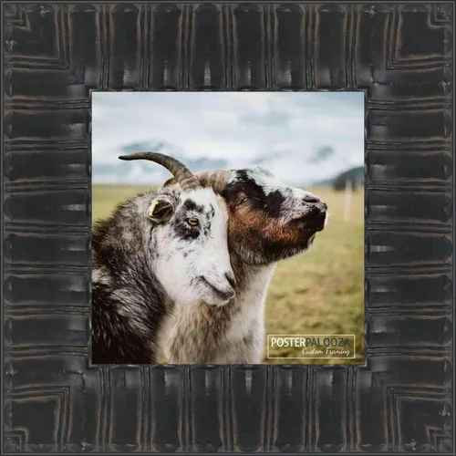 Vista 4 de Poster Palooza 5x5 Inch Ornate Black Complete Wood Square Picture Frame with UV Acrylic Plexiglass, Foam Board Backing & Hardware Included - 5x5