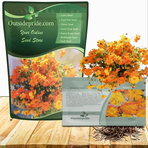Outsidepride Bright Lights Cosmos Sulphureus Seeds - 1 Lb. Pcs Annual, Drought Tolerant & Pollinator Friendly, Flower Seeds for Planting w/Vibrant