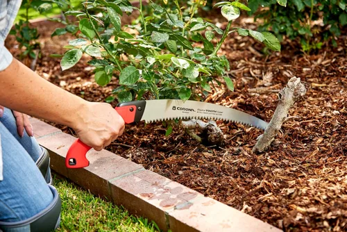 Vista 2 de SIERRA DE PODA CURVA Corona 14