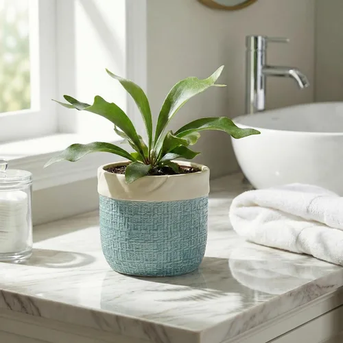 Vista 5 de Macetas de cerámica para plantas, maceta de 6 pulgadas para plantas suculentas de interior, macetas redondas con orificio de drenaje, macetas Azul
