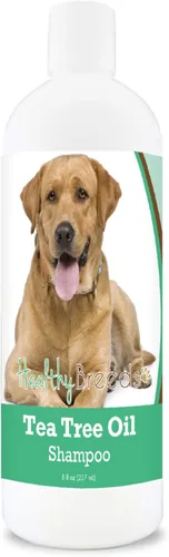 Vista 178 de Healthy Breeds Chow Chow Champú de aceite de árbol de té, formulado para pieles secas e irritadas, reduce la caspa, aroma de gaulteria, 8 onzas