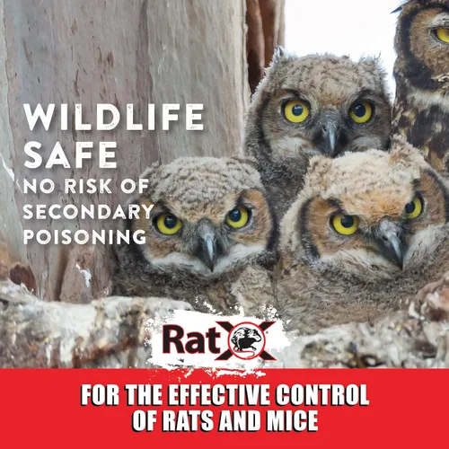 Vista 10 de EcoClear Products 620100-6D RatX Totalmente Natural para Ratas y Ratones de Todas las Especies, Bolsa de 8 oz