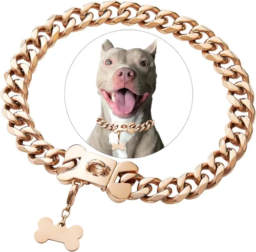Vista 7 de Collar de acero inoxidable dorado para perros pequeños, medianos y grandes, collar de perro Bulldog francés con seguridad