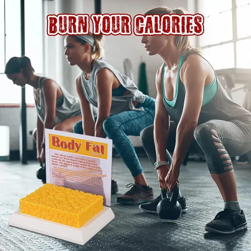 Vista 7 de SimCoach Réplica de grasa corporal humana de 1 libra, motivación y recordatorio para mantenerse en forma y pérdida de peso, modelo de demostración