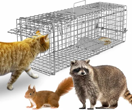Jaula de trampa para animales vivos, jaula plegable resistente para roedores de liberación de capturas, trampa viva mejorada para interiores y