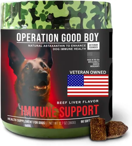 Vista 7 de Operation Good Boy Probióticos para perros, suplemento de salud digestiva para mascotas, masticables probióticos diarios – 90 golosinas suaves