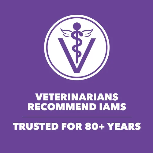 Vista 6 de IAMS Proactive Health comida seca para gatitos