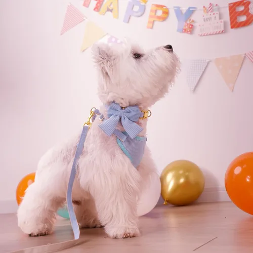 Vista 4 de Didog Lindo Arnés para Perro Pequeño con Collar y Correa con Moño, Arnés para Cachorros de Malla Suave y Transpirable Acolchado, Arnés para Perros