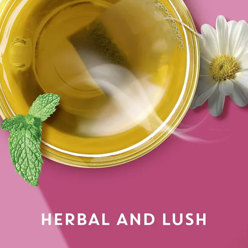 Vista 6 de Tazo Bolsas de té de manzanilla Calm para una deliciosa bebida de té relajante, té de hierbas sin cafeína, 20