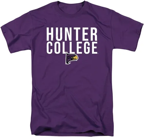 Vista 154 de LOGOVISION Official Collegiate Distressed Stacked Short Sleeve Unisex for Men & Women T Shirt Collection 3