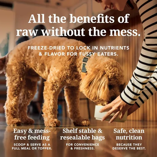 Vista 5 de K9 Natural Comida para perros liofilizada sin granos con pollo 0.5kg