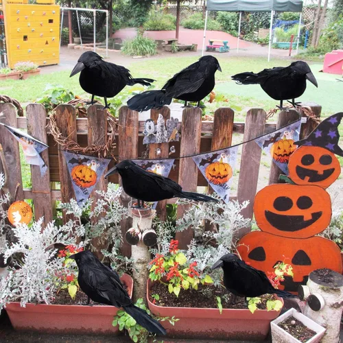Vista 4 de Sizonjoy 6 Pack Halloween Black Feathered Crows, Halloween Decorations Realistic Bird Halloween Ravens Decor Props