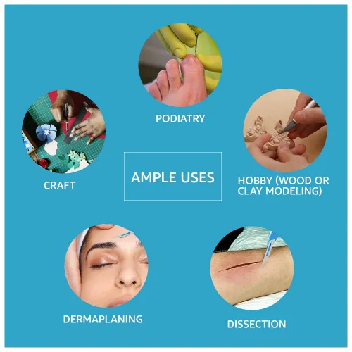 10 bisturíes desechables estériles para manualidades, dermoplanificación, dermatología, laboratorio, biología, disección, cirugía, dental,