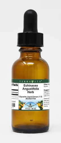 TerraVita Extracto líquido de glicerita de hierbas de Echinacea Angustifolia (1:5) - Sin sabor (1 oz, ZIN: 522407)