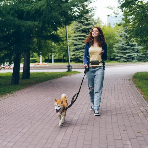 Vista 4 de Correa de perro manos libres con bolsa de cremallera, correa de cintura para perro con cinturón ajustable y doble asa, correa elástica reflectante