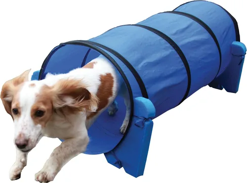 Vista 3 de Agility Slalom – Perro Play & Ejercicio Juguete