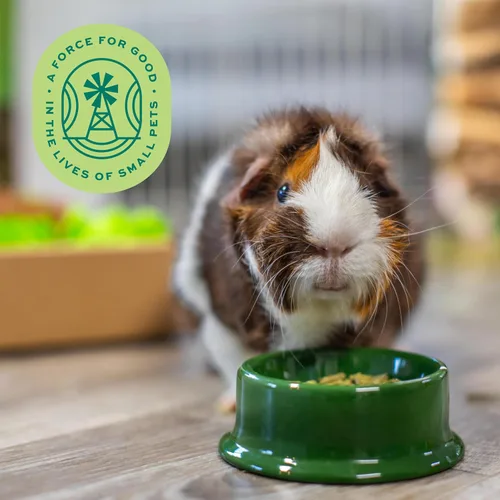 Vista 9 de Oxbow Essentials Alimento para Conejillo de Indias, Conejillo de Indias Adulto, Hecho con Heno Timothy de Oxbow, Pellets de Comida para Mascotas