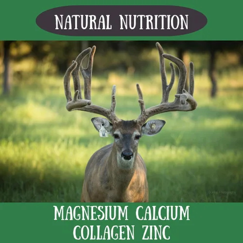 Vista 5 de Deer Valley - Masticables para perros, cuernos masticables de una sola división (tamaño grande, 6-8 pulgadas de largo) todo natural para dentición