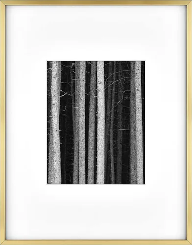 Vista 12 de MCS Master & Co. Foundry Gallery - Marco metálico de pared color negro, 8 x 10 pulgadas, con paspartú a 4 x 6 pulgadas