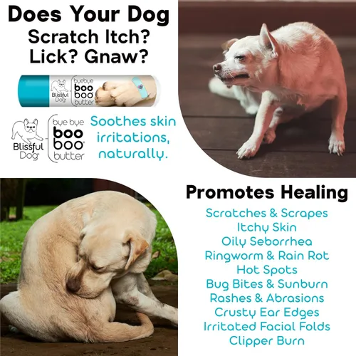 Vista 4 de The Blissful Dog 1 oz TIN Great Dane Booboo Butter