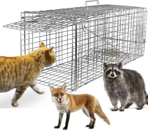 TeqHome Trampa grande para jaula de animales vivos, trampa de jaula para