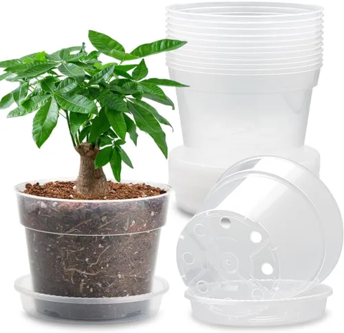 Vista 7 de BTPLASTIK Paquete de 50 macetas de vivero transparentes de 2.5 pulgadas para plantas, macetas de plástico resistente para plantar verduras, flores