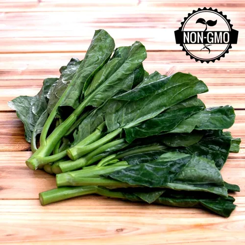 Vista 3 de Gaea's Blessing Semillas - Semillas de Gailan - Semillas sin OMG con instrucciones de siembra fáciles de seguir - Brócoli chino col rizada china