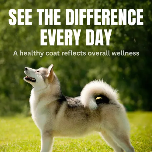 Vista 9 de CPN Coat Boost™ - Suplemento para la piel y el abrigo para perros - Omega 3 natural, mejillón de labios verdes, superalimentos orgánicos - Apoya
