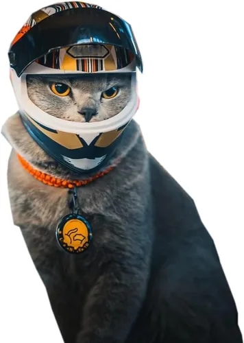 Vista 8 de Casco de motocicleta para mascotas, casco de motocicleta de cara completa, para exteriores, para gato, perro, perrito, cachorro, gatito, casco