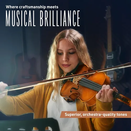 Vista 3 de Cecilio Viola de madera maciza de 16 pulgadas de tamaño completo, Viola acústica profesional artesanal con accesorios de ébano, cuerdas D'Addario