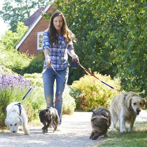 Vista 5 de Cobee Clips para collar de perro, 2 piezas de collar de nailon reflectante para cachorros, collar de respaldo, conector de arnés de collar de perro