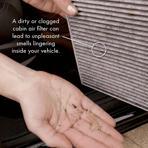 Vista 4 de Filtro de aire de cabina PureFlow PC99346X Compatible con Mercedes-Benz Metris 2016-2023, trasero