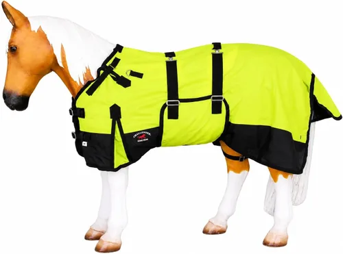 Vista 16 de Manta de invierno de 42" 1200D para potro, poni, caballo, y asno en miniatura rojo BLK 51946 Challenger
